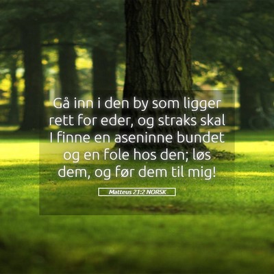 Picture 05 - Matteus 21:2 NORSK - Gå inn i den by som ligger rett for eder, og - Bible Verse Picture