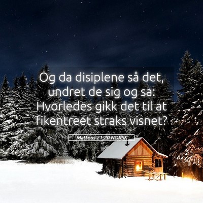 Picture 05 - Matteus 21:20 NORSK - Og da disiplene så det, undret de sig og sa: - Bible Verse Picture