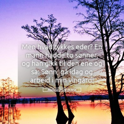 Picture 05 - Matteus 21:28 NORSK - Men hvad tykkes eder? En mann hadde to sønner, - Bible Verse Picture