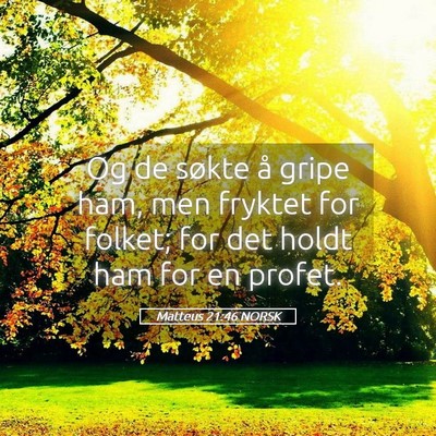 Picture 05 - Matteus 21:46 NORSK - Og de søkte å gripe ham, men fryktet for - Bible Verse Picture