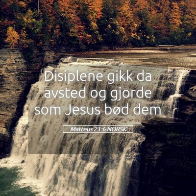 Picture 05 - Matteus 21:6 NORSK - Disiplene gikk da avsted og gjorde som Jesus bød - Bible Verse Picture