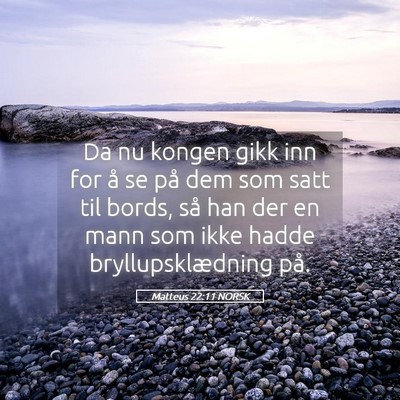 Picture 05 - Matteus 22:11 NORSK - Da nu kongen gikk inn for å se på dem som satt - Bible Verse Picture