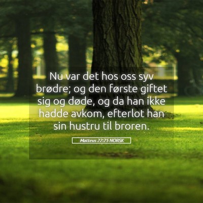 Picture 05 - Matteus 22:25 NORSK - Nu var det hos oss syv brødre; og den første - Bible Verse Picture