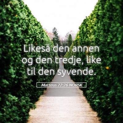 Picture 05 - Matteus 22:26 NORSK - Likeså den annen og den tredje, like til den - Bible Verse Picture