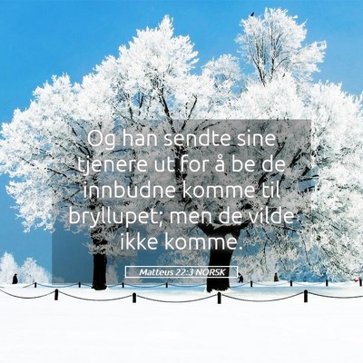 Picture 05 - Matteus 22:3 NORSK - Og han sendte sine tjenere ut for å be de - Bible Verse Picture