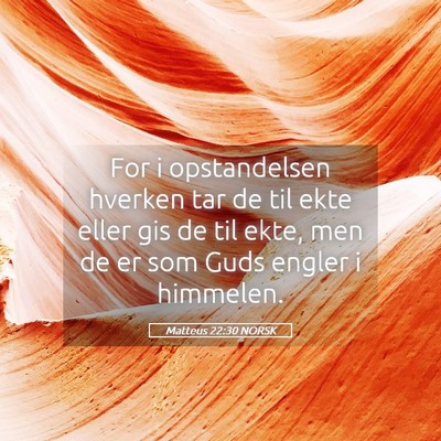 Picture 05 - Matteus 22:30 NORSK - For i opstandelsen hverken tar de til ekte eller - Bible Verse Picture