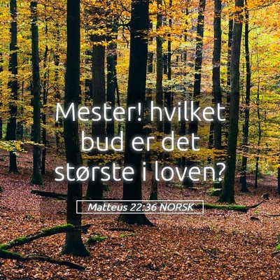 Picture 05 - Matteus 22:36 NORSK - Mester! hvilket bud er det største i - Bible Verse Picture