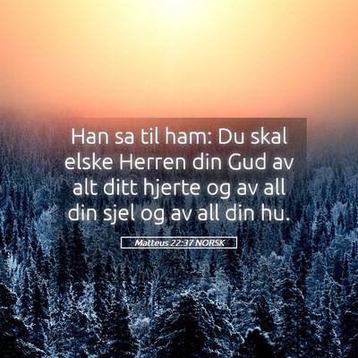 Picture 05 - Matteus 22:37 NORSK - Han sa til ham: Du skal elske Herren din Gud av - Bible Verse Picture