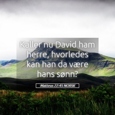 Picture 05 - Matteus 22:45 NORSK - Kaller nu David ham herre, hvorledes kan han da - Bible Verse Picture