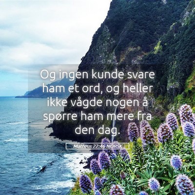 Picture 05 - Matteus 22:46 NORSK - Og ingen kunde svare ham et ord, og heller ikke - Bible Verse Picture