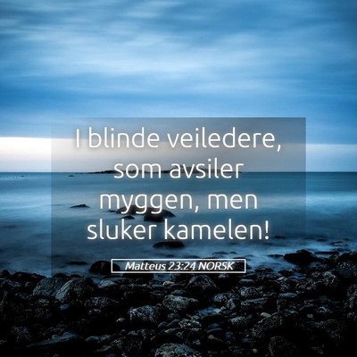 Picture 05 - Matteus 23:24 NORSK - I blinde veiledere, som avsiler myggen, men - Bible Verse Picture
