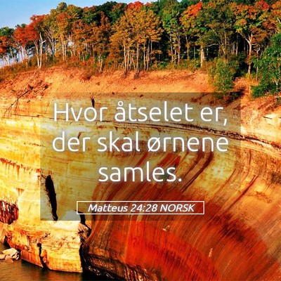 Picture 05 - Matteus 24:28 NORSK - Hvor åtselet er, der skal ørnene - Bible Verse Picture