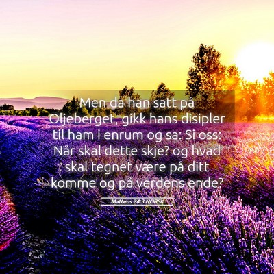 Picture 05 - Matteus 24:3 NORSK - Men da han satt på Oljeberget, gikk hans - Bible Verse Picture