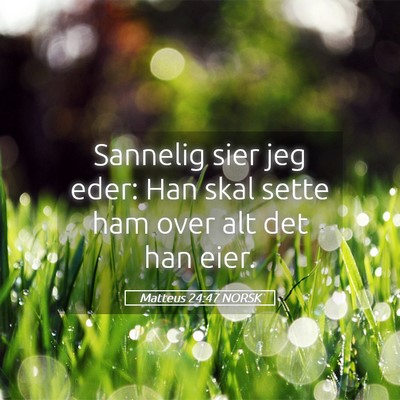 Picture 05 - Matteus 24:47 NORSK - Sannelig sier jeg eder: Han skal sette ham over - Bible Verse Picture