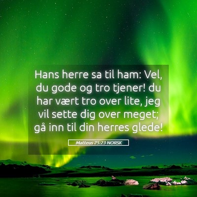 Picture 05 - Matteus 25:23 NORSK - Hans herre sa til ham: Vel, du gode og tro - Bible Verse Picture