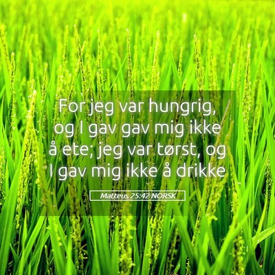 Picture 05 - Matteus 25:42 NORSK - For jeg var hungrig, og I gav gav mig ikke å - Bible Verse Picture