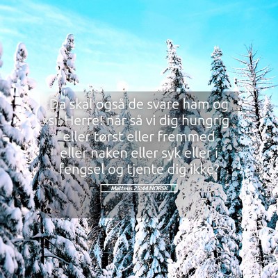Picture 05 - Matteus 25:44 NORSK - Da skal også de svare ham og si: Herre! når så - Bible Verse Picture