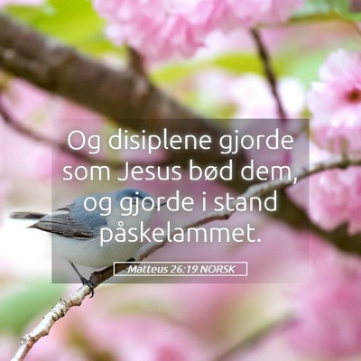 Picture 05 - Matteus 26:19 NORSK - Og disiplene gjorde som Jesus bød dem, og gjorde - Bible Verse Picture