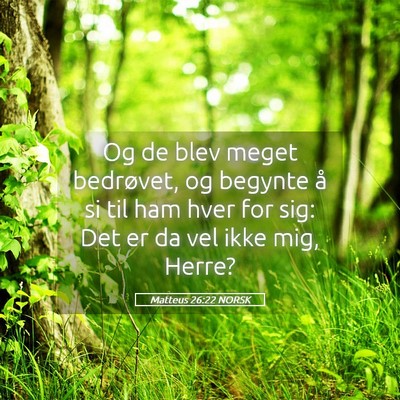 Picture 05 - Matteus 26:22 NORSK - Og de blev meget bedrøvet, og begynte å si til - Bible Verse Picture