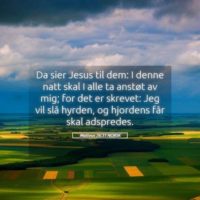 Picture 05 - Matteus 26:31 NORSK - Da sier Jesus til dem: I denne natt skal I alle - Bible Verse Picture