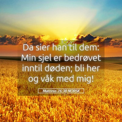Picture 05 - Matteus 26:38 NORSK - Da sier han til dem: Min sjel er bedrøvet inntil - Bible Verse Picture