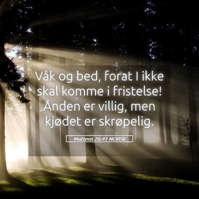 Picture 05 - Matteus 26:41 NORSK - Våk og bed, forat I ikke skal komme i fristelse! - Bible Verse Picture