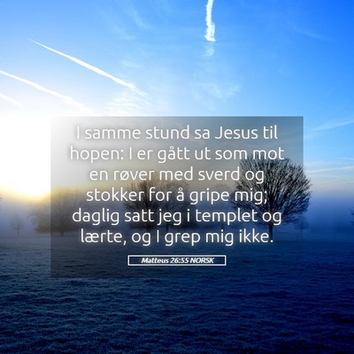 Picture 05 - Matteus 26:55 NORSK - I samme stund sa Jesus til hopen: I er gått ut - Bible Verse Picture