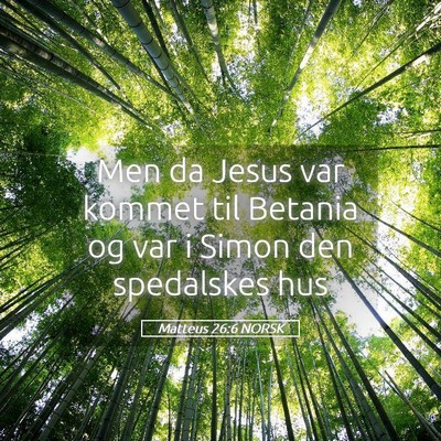 Picture 05 - Matteus 26:6 NORSK - Men da Jesus var kommet til Betania og var i - Bible Verse Picture