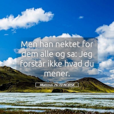Picture 05 - Matteus 26:70 NORSK - Men han nektet for dem alle og sa: Jeg forstår - Bible Verse Picture