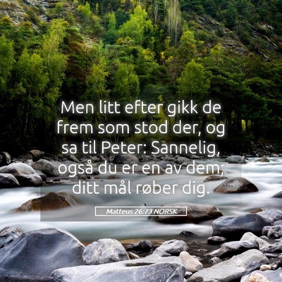 Picture 05 - Matteus 26:73 NORSK - Men litt efter gikk de frem som stod der, og sa - Bible Verse Picture
