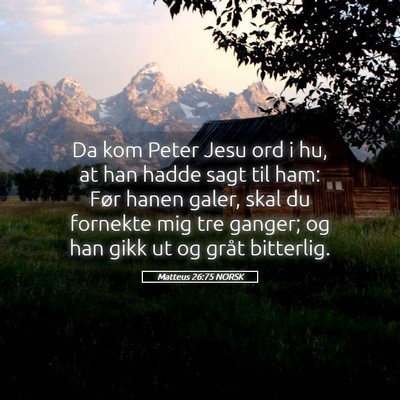 Picture 05 - Matteus 26:75 NORSK - Da kom Peter Jesu ord i hu, at han hadde sagt til - Bible Verse Picture