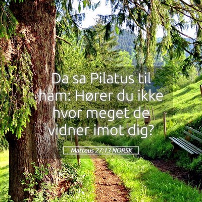 Picture 05 - Matteus 27:13 NORSK - Da sa Pilatus til ham: Hører du ikke hvor meget - Bible Verse Picture