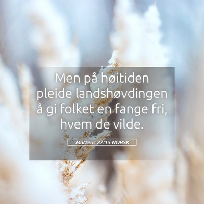 Picture 05 - Matteus 27:15 NORSK - Men på høitiden pleide landshøvdingen å gi - Bible Verse Picture