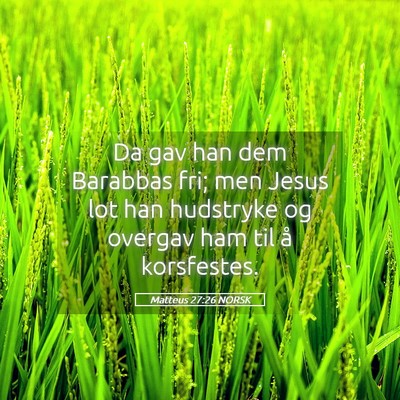 Picture 05 - Matteus 27:26 NORSK - Da gav han dem Barabbas fri; men Jesus lot han - Bible Verse Picture