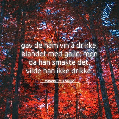 Picture 05 - Matteus 27:34 NORSK - gav de ham vin å drikke, blandet med galle; men - Bible Verse Picture