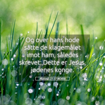 Picture 05 - Matteus 27:37 NORSK - Og over hans hode satte de klagemålet imot ham, - Bible Verse Picture