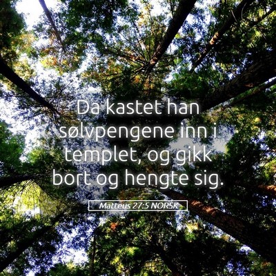 Picture 05 - Matteus 27:5 NORSK - Da kastet han sølvpengene inn i templet, og gikk - Bible Verse Picture