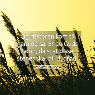 Picture 05 - Matteus 4:3 NORSK - Og fristeren kom til ham og sa: Er du Guds Sønn, - Bible Verse Picture