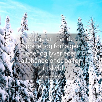 Picture 05 - Matteus 5:11 NORSK - Salige er I når de spotter og forfølger eder og - Bible Verse Picture
