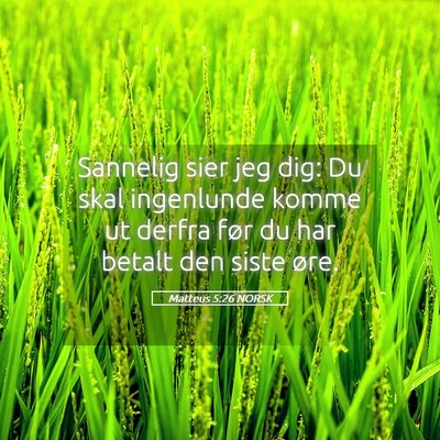 Picture 05 - Matteus 5:26 NORSK - Sannelig sier jeg dig: Du skal ingenlunde komme - Bible Verse Picture