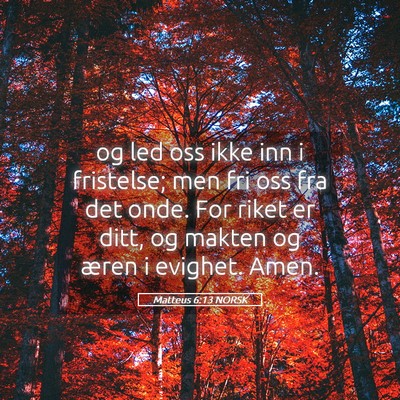 Picture 05 - Matteus 6:13 NORSK - og led oss ikke inn i fristelse; men fri oss fra - Bible Verse Picture