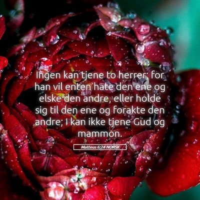 Picture 05 - Matteus 6:24 NORSK - Ingen kan tjene to herrer; for han vil enten hate - Bible Verse Picture
