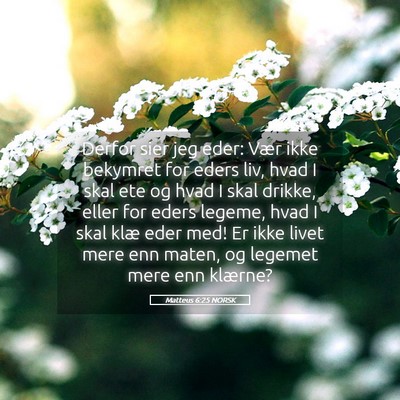 Picture 05 - Matteus 6:25 NORSK - Derfor sier jeg eder: Vær ikke bekymret for - Bible Verse Picture