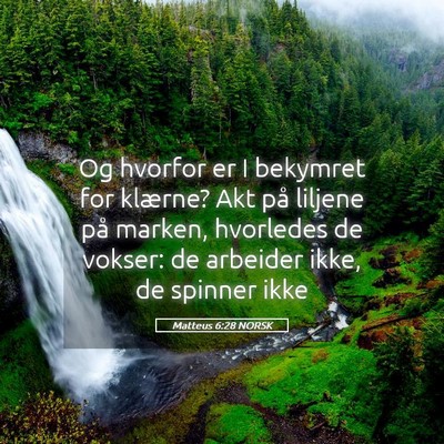 Picture 05 - Matteus 6:28 NORSK - Og hvorfor er I bekymret for klærne? Akt på - Bible Verse Picture