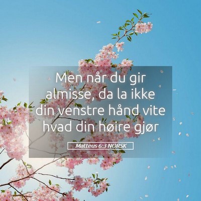 Picture 05 - Matteus 6:3 NORSK - Men når du gir almisse, da la ikke din venstre - Bible Verse Picture