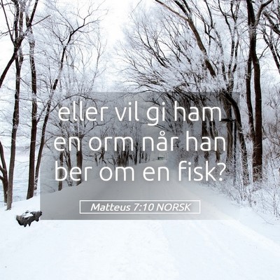 Picture 05 - Matteus 7:10 NORSK - eller vil gi ham en orm når han ber om en - Bible Verse Picture
