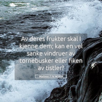 Picture 05 - Matteus 7:16 NORSK - Av deres frukter skal I kjenne dem; kan en vel - Bible Verse Picture