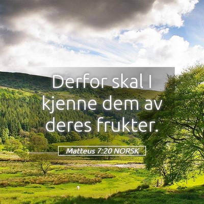 Picture 05 - Matteus 7:20 NORSK - Derfor skal I kjenne dem av deres - Bible Verse Picture