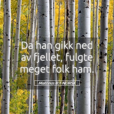 Picture 05 - Matteus 8:1 NORSK - Da han gikk ned av fjellet, fulgte meget folk - Bible Verse Picture