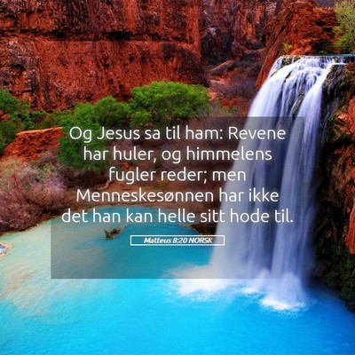 Picture 05 - Matteus 8:20 NORSK - Og Jesus sa til ham: Revene har huler, og - Bible Verse Picture